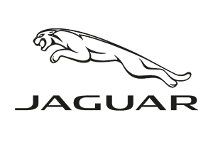 Jaguar in Gurgaon